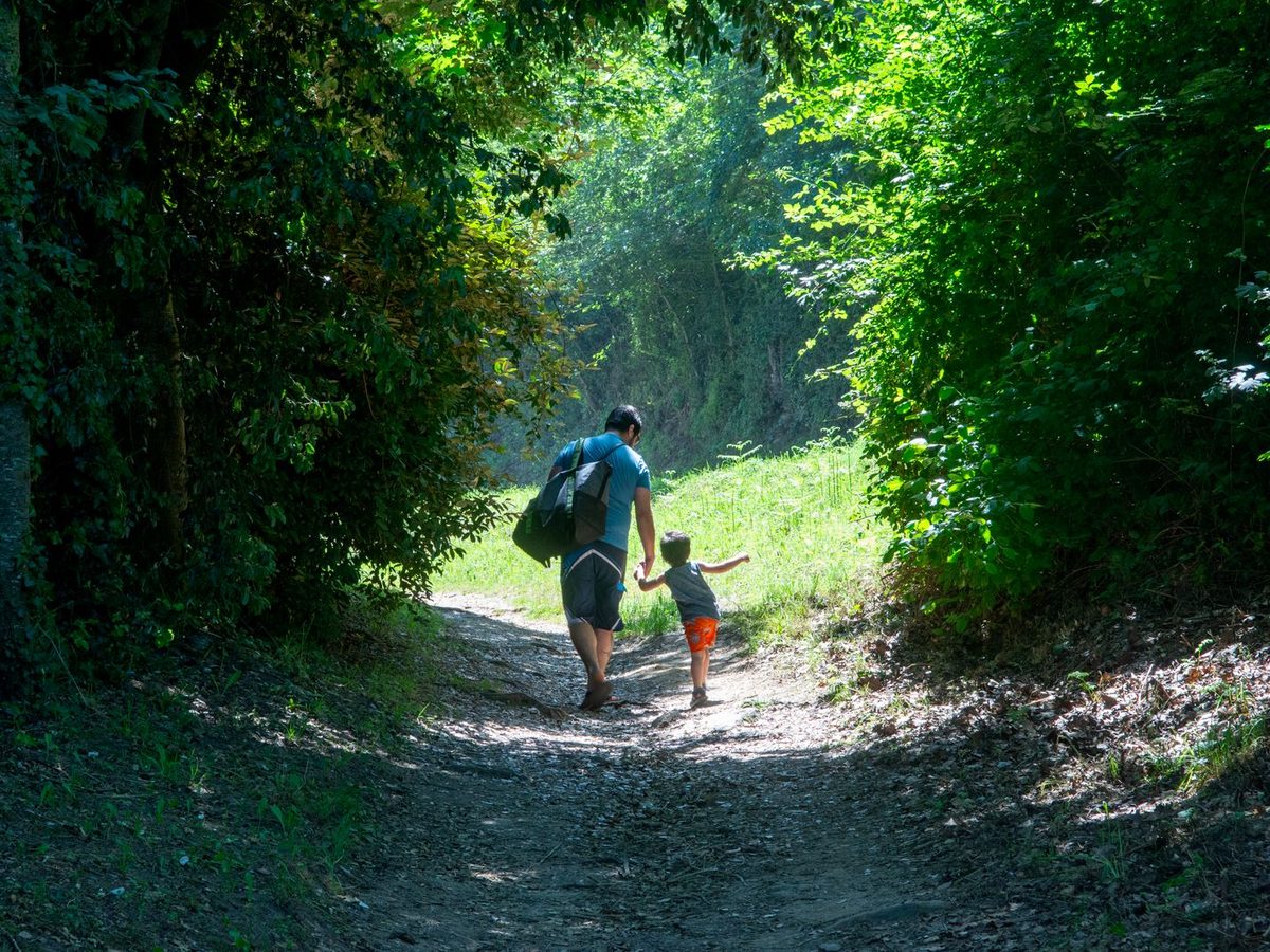 A father and child walking hand-in-hand on a forest path